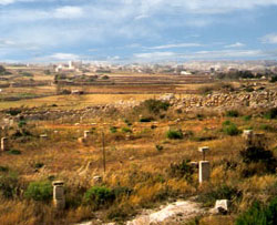 Bird trapping sites predominate Benghajsa study area.